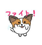 たまいぬ（改良版）（個別スタンプ：23）