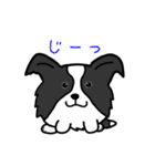 たまいぬ（改良版）（個別スタンプ：24）