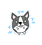 たまいぬ（改良版）（個別スタンプ：29）