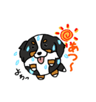 たまいぬ（改良版）（個別スタンプ：33）