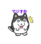 たまいぬ（改良版）（個別スタンプ：36）