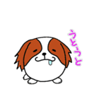 たまいぬ（改良版）（個別スタンプ：39）