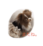 可愛いいろは（個別スタンプ：4）