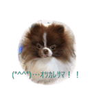 可愛いいろは（個別スタンプ：6）