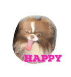 可愛いいろは（個別スタンプ：14）