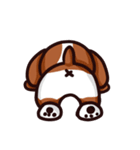 Beagle B（個別スタンプ：27）