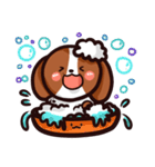 Beagle B（個別スタンプ：29）