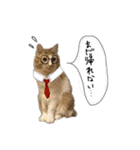 我が家のあめさんスタンプ（個別スタンプ：30）