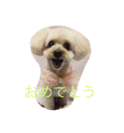 てぃー坊2（個別スタンプ：1）