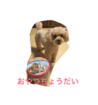 てぃー坊2（個別スタンプ：3）