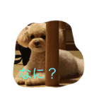 てぃー坊2（個別スタンプ：7）