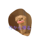 てぃー坊2（個別スタンプ：8）