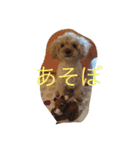 てぃー坊2（個別スタンプ：10）