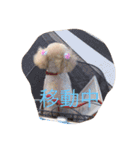 てぃー坊2（個別スタンプ：12）