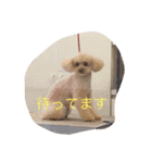 てぃー坊2（個別スタンプ：13）