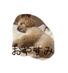 てぃー坊2（個別スタンプ：14）