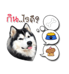 Husky Coffee Dog 3（個別スタンプ：11）