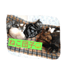 ❤遊び心❤（個別スタンプ：3）