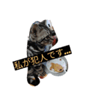 ❤遊び心❤（個別スタンプ：5）