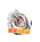 ❤遊び心❤（個別スタンプ：9）