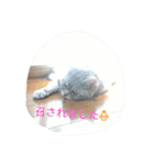 ❤遊び心❤（個別スタンプ：11）