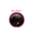 ♡イタチ♡（個別スタンプ：5）