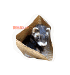 ♡イタチ♡（個別スタンプ：10）