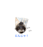 ♡イタチ♡（個別スタンプ：14）