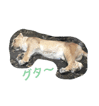 どうぶつ スタンプ（個別スタンプ：5）