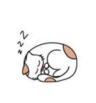 ねこ次のスタンプ3（個別スタンプ：6）