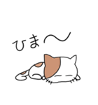 ねこ次のスタンプ3（個別スタンプ：13）