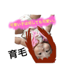みーたんぷ1（個別スタンプ：23）
