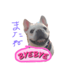 フレブル☆福たんですけど？ver2（個別スタンプ：5）