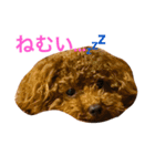 The original dog（個別スタンプ：1）