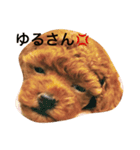 The original dog（個別スタンプ：2）