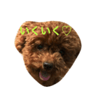 The original dog（個別スタンプ：5）