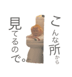 茶々丸くん。スタンプ（個別スタンプ：3）