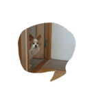 可愛過ぎるわんこ（個別スタンプ：4）