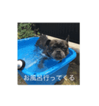 ノアくん（個別スタンプ：6）