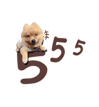 Mister Cookie（個別スタンプ：2）
