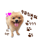 Mister Cookie（個別スタンプ：4）