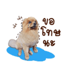Mister Cookie（個別スタンプ：8）
