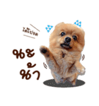 Mister Cookie（個別スタンプ：9）