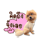 Mister Cookie（個別スタンプ：10）