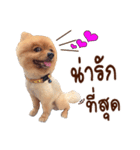 Mister Cookie（個別スタンプ：11）