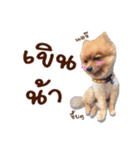 Mister Cookie（個別スタンプ：13）
