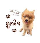 Mister Cookie（個別スタンプ：14）