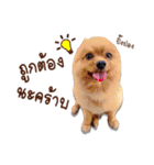 Mister Cookie（個別スタンプ：15）