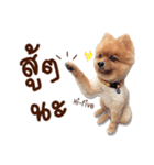Mister Cookie（個別スタンプ：17）