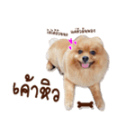 Mister Cookie（個別スタンプ：18）